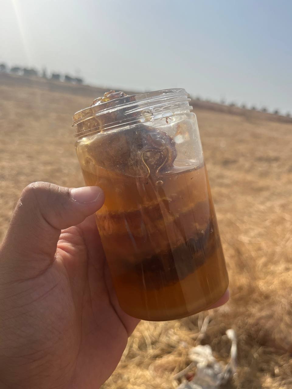 عرض الشهدة الجبلية — علبتان