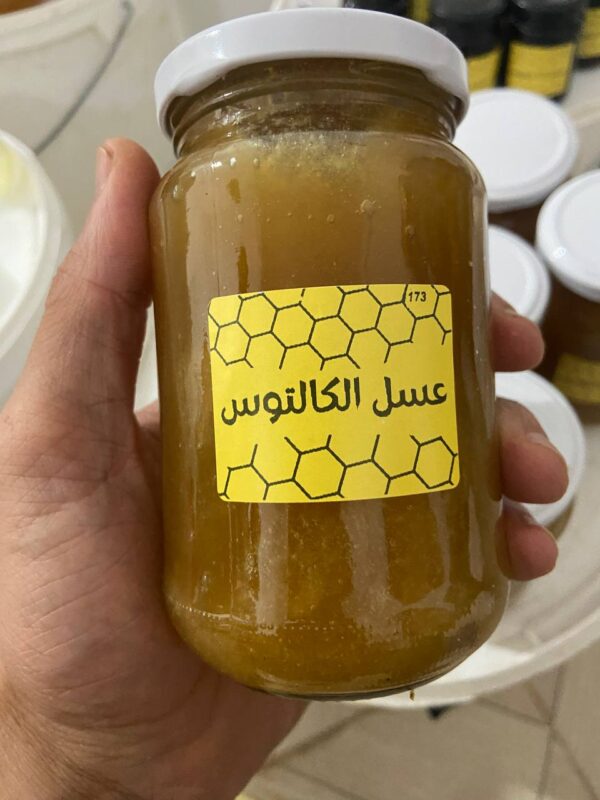 ⁦عسل الكالتوس 173C <br>منطقة الجني: شلف <br>⁩ - الصورة ⁦6⁩