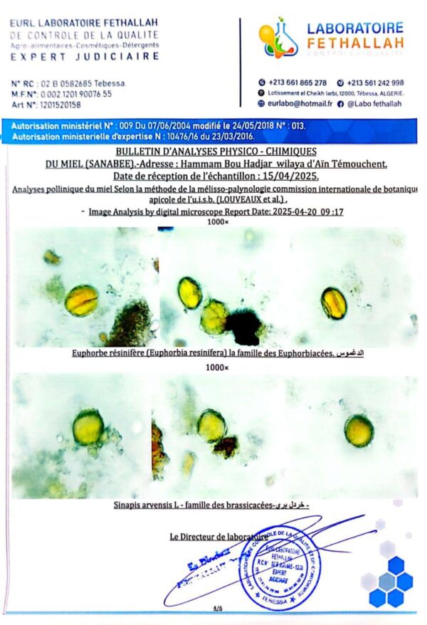 ⁦عسل الدغموس 160 <br>منطقة الجني:المغرب  <br>⁩ - الصورة ⁦4⁩