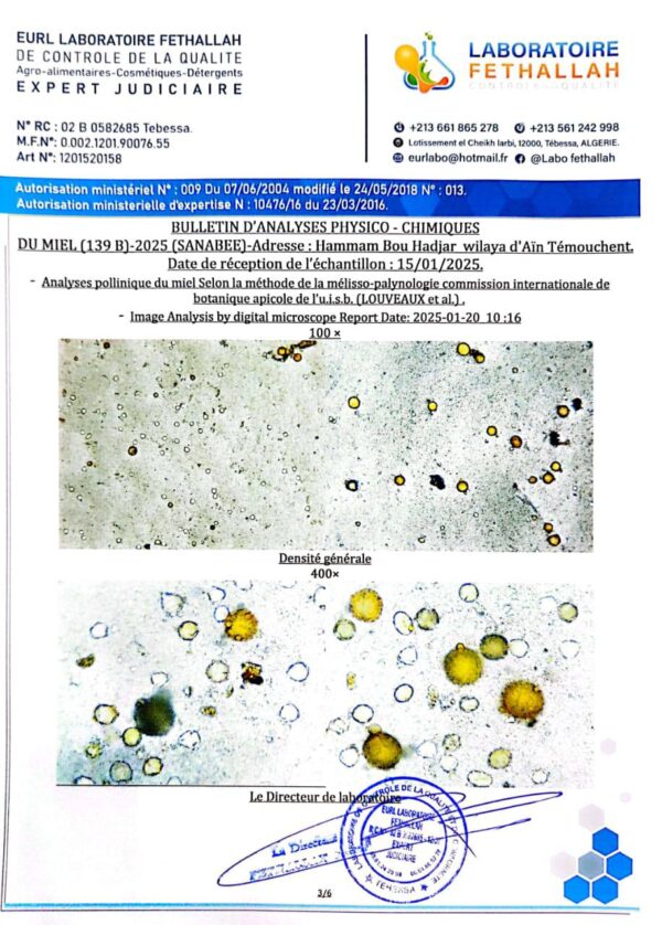 ⁦عسل السدر 139B <br>منطقة الجني:الأغواط  <br>⁩ - الصورة ⁦3⁩