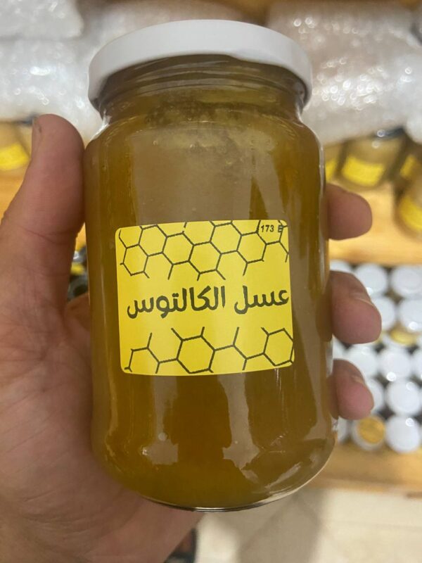 ⁦عسل الكالتوس 173E <br>منطقة الجني:تيسمسيلت العيون  <br>⁩ - الصورة ⁦6⁩