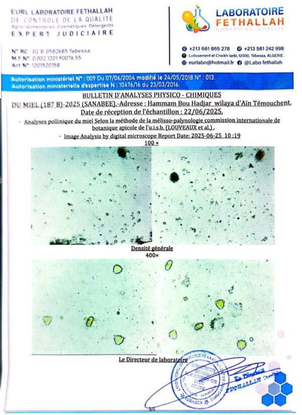 ⁦عسل السدر  187B<br>منطقة الجني:الأغواط  <br>⁩ - الصورة ⁦3⁩