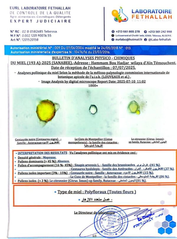 ⁦عسل الغابة 193A<br>منطقة الجني:مهدية تيارت  <br>⁩ - الصورة ⁦5⁩