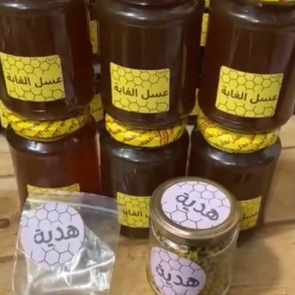 photo_2025-12-25_23-12-27