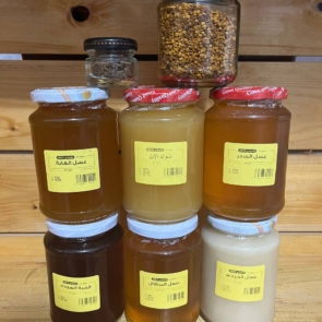 photo_2025-09-15_18-28-10