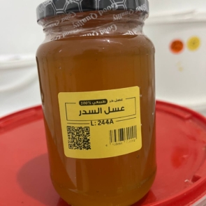 photo_2026-03-08_01-31-14