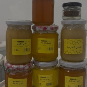 photo_2025-12-25_23-37-40