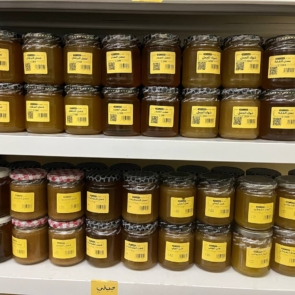 photo_2026-02-01_22-44-38