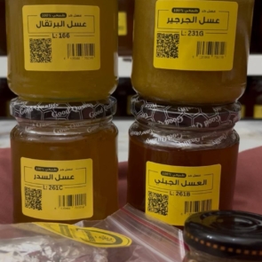 photo_2026-02-21_11-35-55