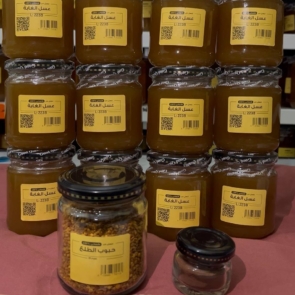 photo_2026-02-21_12-18-16