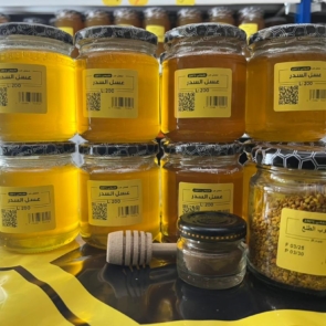 WhatsApp Image 2026-03-04 at 11.32.56 AM