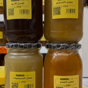 WhatsApp Image 2026-03-04 at 2.13.59 AM